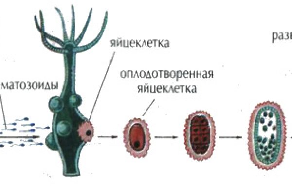 Блэк спрут оригинальная ссылка tor wiki online